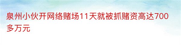 泉州小伙开网络赌场11天就被抓赌资高达700多万元