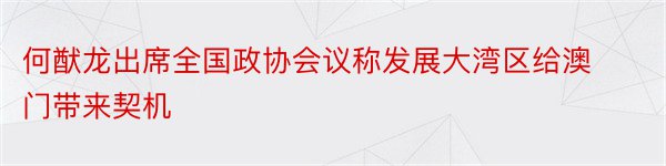 何猷龙出席全国政协会议称发展大湾区给澳门带来契机