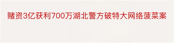 赌资3亿获利700万湖北警方破特大网络菠菜案