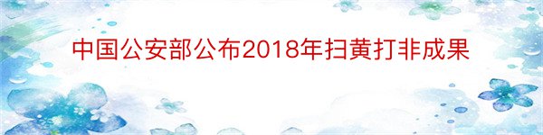 中国公安部公布2018年扫黄打非成果