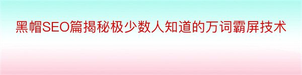 黑帽SEO篇揭秘极少数人知道的万词霸屏技术