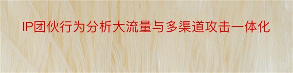 IP团伙行为分析大流量与多渠道攻击一体化