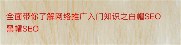 全面带你了解网络推广入门知识之白帽SEO黑帽SEO