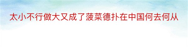 太小不行做大又成了菠菜德扑在中国何去何从