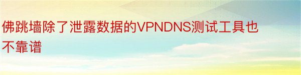 佛跳墙除了泄露数据的VPNDNS测试工具也不靠谱