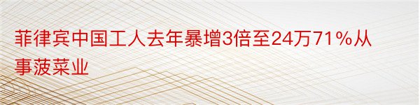 菲律宾中国工人去年暴增3倍至24万71％从事菠菜业