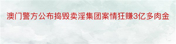 澳门警方公布捣毁卖淫集团案情狂赚3亿多肉金