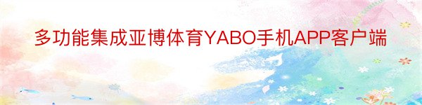 多功能集成亚博体育YABO手机APP客户端