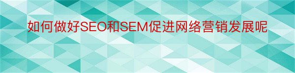 如何做好SEO和SEM促进网络营销发展呢