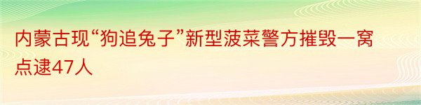 内蒙古现“狗追兔子”新型菠菜警方摧毁一窝点逮47人