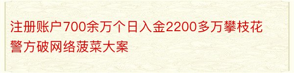 注册账户700余万个日入金2200多万攀枝花警方破网络菠菜大案