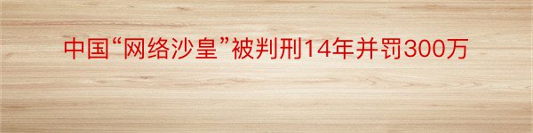 中国“网络沙皇”被判刑14年并罚300万