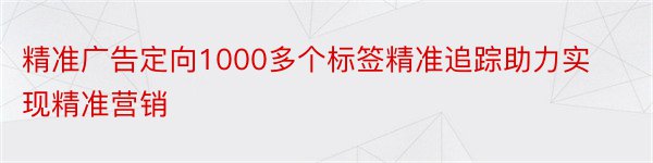 精准广告定向1000多个标签精准追踪助力实现精准营销