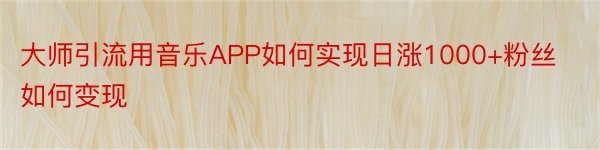 大师引流用音乐APP如何实现日涨1000+粉丝如何变现