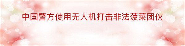 中国警方使用无人机打击非法菠菜团伙