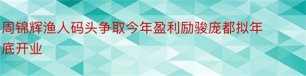 周锦辉渔人码头争取今年盈利励骏庞都拟年底开业