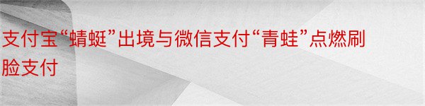 支付宝“蜻蜓”出境与微信支付“青蛙”点燃刷脸支付