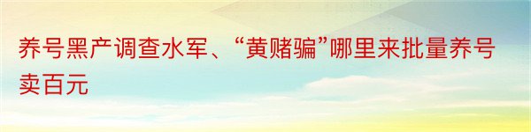 养号黑产调查水军、“黄赌骗”哪里来批量养号卖百元