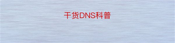 干货DNS科普