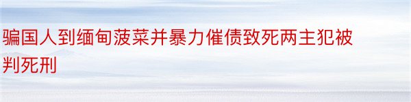 骗国人到缅甸菠菜并暴力催债致死两主犯被判死刑