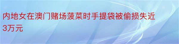 内地女在澳门赌场菠菜时手提袋被偷损失近3万元