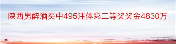 陕西男醉酒买中495注体彩二等奖奖金4830万