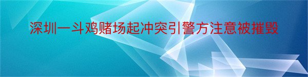 深圳一斗鸡赌场起冲突引警方注意被摧毁