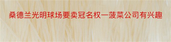 桑德兰光明球场要卖冠名权一菠菜公司有兴趣