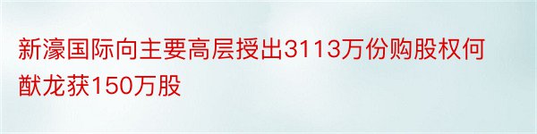 新濠国际向主要高层授出3113万份购股权何猷龙获150万股