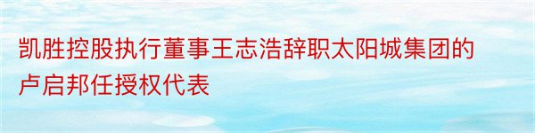 凯胜控股执行董事王志浩辞职太阳城集团的卢启邦任授权代表