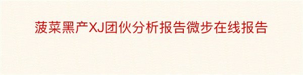 菠菜黑产XJ团伙分析报告微步在线报告