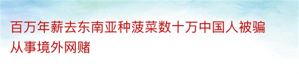 百万年薪去东南亚种菠菜数十万中国人被骗从事境外网赌