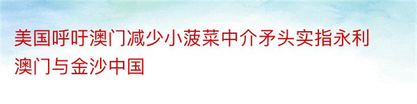 美国呼吁澳门减少小菠菜中介矛头实指永利澳门与金沙中国