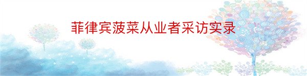 菲律宾菠菜从业者采访实录