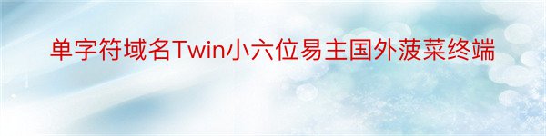 单字符域名Twin小六位易主国外菠菜终端