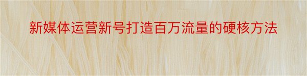 新媒体运营新号打造百万流量的硬核方法