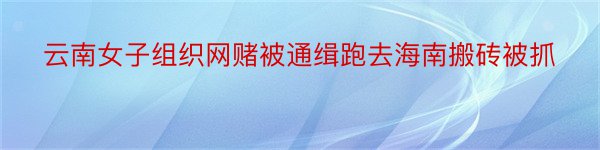 云南女子组织网赌被通缉跑去海南搬砖被抓