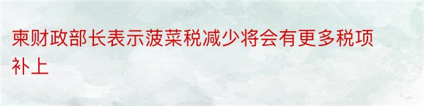 柬财政部长表示菠菜税减少将会有更多税项补上