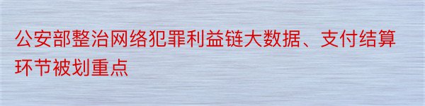 公安部整治网络犯罪利益链大数据、支付结算环节被划重点