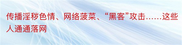 传播淫秽色情、网络菠菜、“黑客”攻击……这些人通通落网