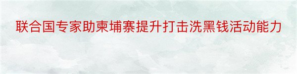 联合国专家助柬埔寨提升打击洗黑钱活动能力