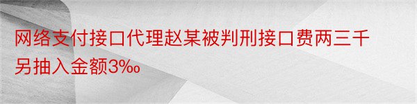 网络支付接口代理赵某被判刑接口费两三千另抽入金额3‰