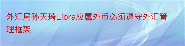 外汇局孙天琦Libra应属外币必须遵守外汇管理框架