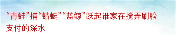 “青蛙”捕“蜻蜓”“蓝鲸”跃起谁家在搅弄刷脸支付的深水