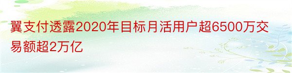 翼支付透露2020年目标月活用户超6500万交易额超2万亿