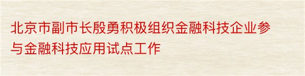 北京市副市长殷勇积极组织金融科技企业参与金融科技应用试点工作