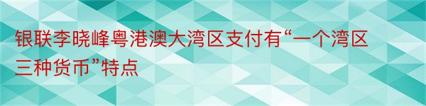 银联李晓峰粤港澳大湾区支付有“一个湾区三种货币”特点