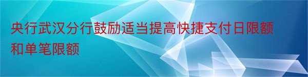 央行武汉分行鼓励适当提高快捷支付日限额和单笔限额