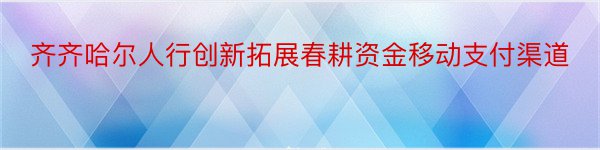 齐齐哈尔人行创新拓展春耕资金移动支付渠道