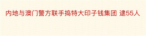 内地与澳门警方联手捣特大印子钱集团 逮55人